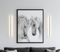 Classic Black and White Horse